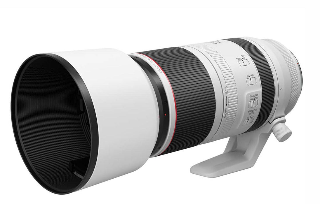 Canon RF 100-500mm f/4.5-7.1L IS USM in stock now.