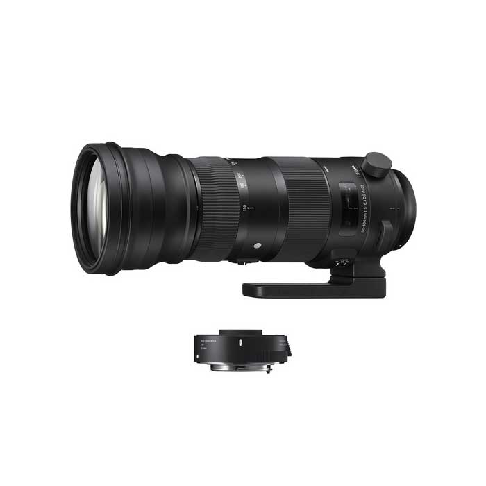 Sigma 150-600mm f/5-6.3 DG OS HSM Sports