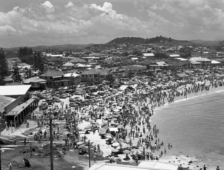 Shark Alarm 1950's