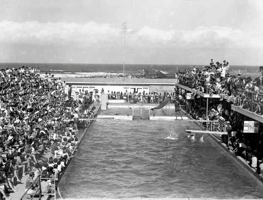 Jack Evans Pet Porpoise Pool 1960's